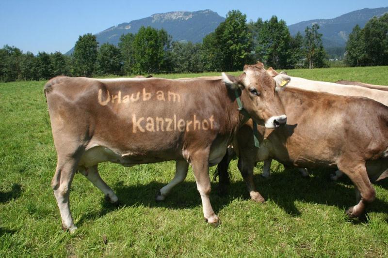 Kanzlerhof Бад-Миттерндорф Экстерьер фото
